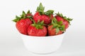 White bowl filled with strawberries Royalty Free Stock Photo