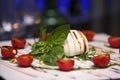 White bowl of fresh and healthy Mediterranean salad with mozzarella cheese, tomatoes and basil leaves. Royalty Free Stock Photo