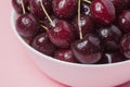 White bowl of fresh red cherries on a pink background. close-up Royalty Free Stock Photo