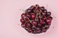 White bowl of fresh red cherries on a pink background. Copy space. Top view. close-up Royalty Free Stock Photo