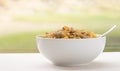 White Bowl Full of Breakfast Cereal with Spoon. Royalty Free Stock Photo