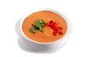 White bowl of gaspacho soup Royalty Free Stock Photo