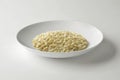 White bowl with parmesan cheese risotto Royalty Free Stock Photo