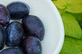 White bowl with ripe wet plum on green leaves