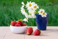 White bowl with sweet red strawberries and blue vase with chamomile flowers on green blurred background. Royalty Free Stock Photo