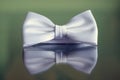 White Bowtie reflection