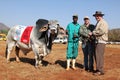 White Brahman bull best male animal and overall champion