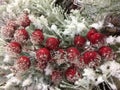 White branches with red ball background