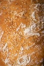 White bread sprinkled with sesame seeds close-up Royalty Free Stock Photo