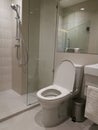 White brick wall bathroom interior with white toilet bowl, shower box, mirror, wash sink, white hand towel and silver trash can in