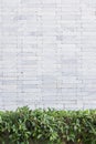 White brick wall and green leaf background, Royalty Free Stock Photo