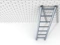 White brick wall and metal ladder