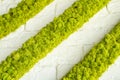 White brick wall with stripes of green artificial moss Royalty Free Stock Photo