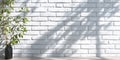 White Brick Wall Texture Botanical Background with Sunlight Shadows Royalty Free Stock Photo