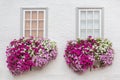 White facade with windows and flowers in flower boxes