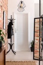 Entrance hall interior with lamps, mirror, hanger and white door