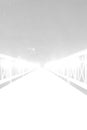 The white bridge at night is a black and white picture. Royalty Free Stock Photo