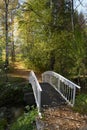 A white bridge over a stream in an autumn park among fallen red leaves and yellow and green trees Royalty Free Stock Photo