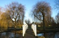 White bridge over water in St Neots, Cambridgeshire with willow trees in background