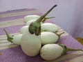 White brinjal on a table