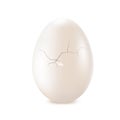 White, broken egg on white background