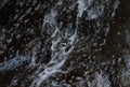 White-browed wagtail standing in waterfall Royalty Free Stock Photo