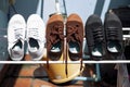 White, brown and black sneakers of student are washed and dried in the sun. Royalty Free Stock Photo