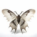 Whimsical Wingless Butterfly: A Captivating 3d Mothman On Isolated White Background