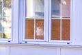 White and brown cat sitting looking at the street through the glass of a building window in Madrid, Spain. Europe. Royalty Free Stock Photo