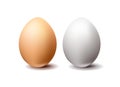 White and brown chicken eggs on white background Royalty Free Stock Photo