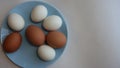 White and brown chicken eggs on a blue plate