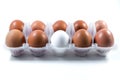 White and brown chicken eggs in a plastic package. Royalty Free Stock Photo