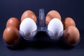 White and brown chicken eggs in a plastic package. Royalty Free Stock Photo