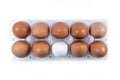 White and brown chicken eggs in a plastic package. Royalty Free Stock Photo