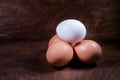 White and brown chicken eggs in a plastic package. Royalty Free Stock Photo