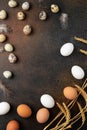 White and brown chicken and quail eggs, feathers and wheat on dark background. Concept farm products and natural nutrition. Royalty Free Stock Photo