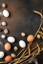 White and brown chicken and quail eggs, feathers and wheat on dark background. Concept farm products and natural nutrition. Royalty Free Stock Photo