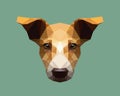 White brown dog head isolated low polygon cartoon on green background, big ears pet character geometric tan hound icon.