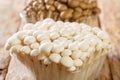 White and brown edible beech mushrooms or Shimeji or buna and bunapi in plastic container closeup. Horizontal Royalty Free Stock Photo