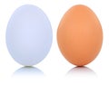 White and brown egg isolated Royalty Free Stock Photo