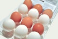 White Brown eggs Royalty Free Stock Photo