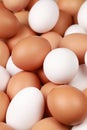 White and brown eggs