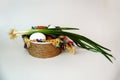 White and brown eggs and a bunch of green onions on a checkered napkin in a bowl on a white background Royalty Free Stock Photo