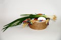 White and brown eggs and a bunch of green onions on a checkered napkin in a bowl on a white background Royalty Free Stock Photo