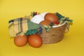 White and brown eggs and a bunch of green onions on a checkered napkin in a bowl on a yellow background Royalty Free Stock Photo