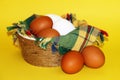 White and brown eggs and a bunch of green onions on a checkered napkin in a bowl on a yellow background Royalty Free Stock Photo