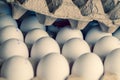 White and brown eggs in carton with broken egg Royalty Free Stock Photo