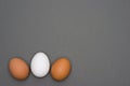 White and brown eggs on gray background. Easter. Top view Royalty Free Stock Photo