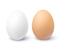 White and Brown Eggs Isolated