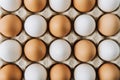 white and brown eggs laying in egg carton, full frame shot Royalty Free Stock Photo